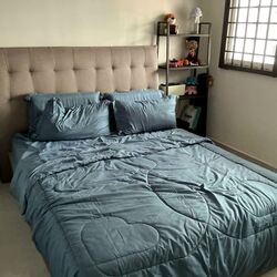 Blk 542 Serangoon North Avenue 4 (Serangoon), HDB Executive #600949671
